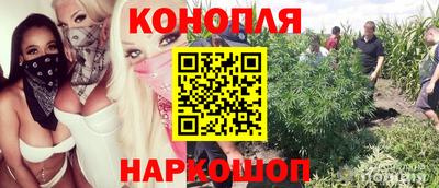 мяу мяу мука Бузулук